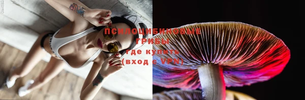 ALPHA PVP Краснослободск