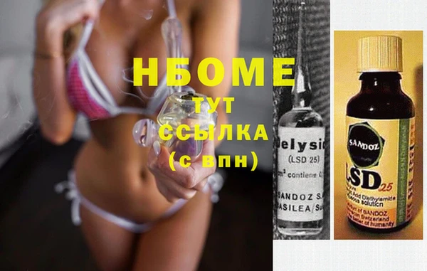 индика Коряжма