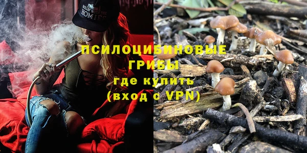 ALPHA PVP Краснослободск