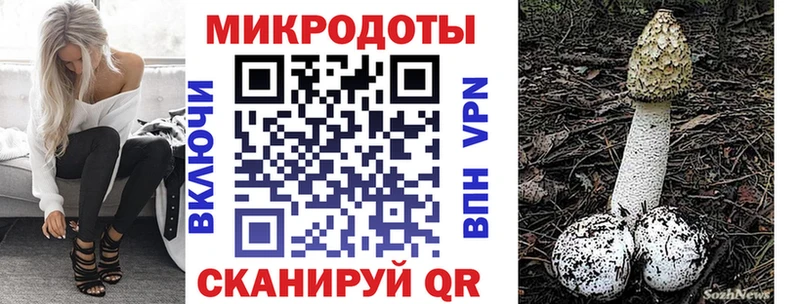 Галлюциногенные грибы мицелий  MEGA ONION  Котовск 